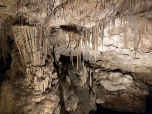 Cueva del Drach Mallorca