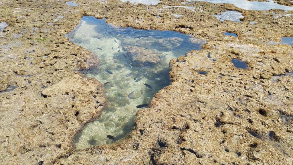 Porto Galinhas Piscina Natural con forma de Brasil