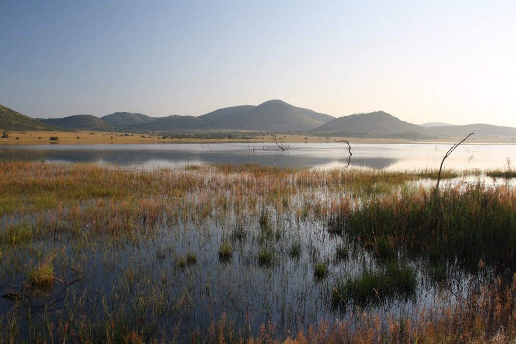 Amanece en Pilanesberg