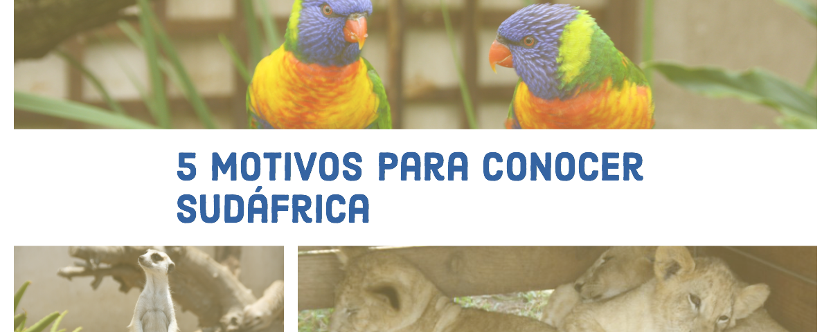 5 motivos para conocer Sudáfrica