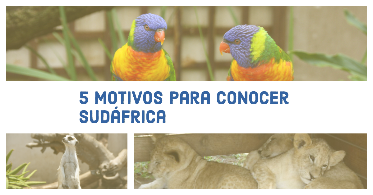 5 motivos para conocer Sudáfrica