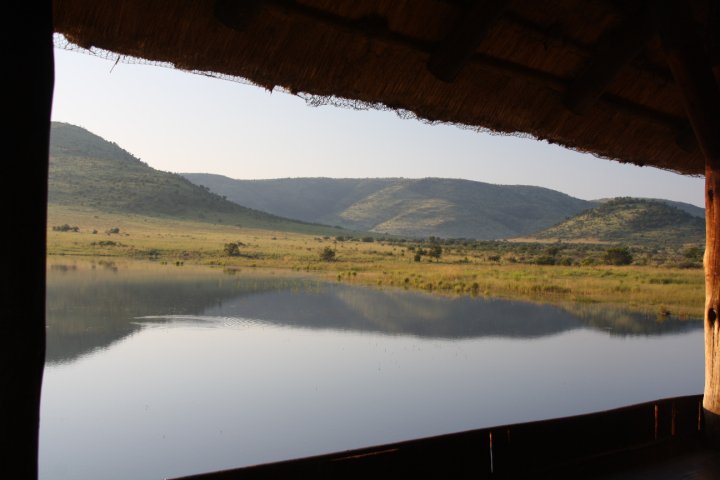 Sudafrica safari