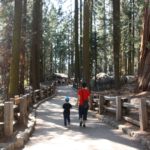 Sequoia National Park