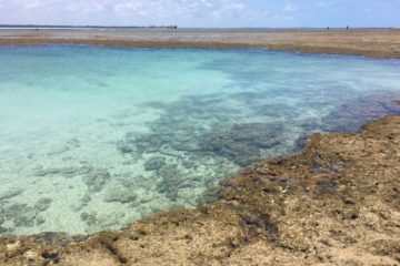 Porto Galinhas Pontal de Maracaipe