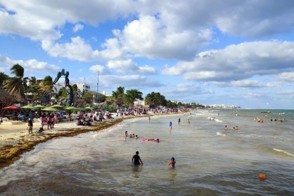 Sargazo en Playa del Carmen