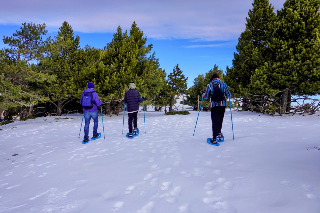 Sierra Nevada Granada Andalucía