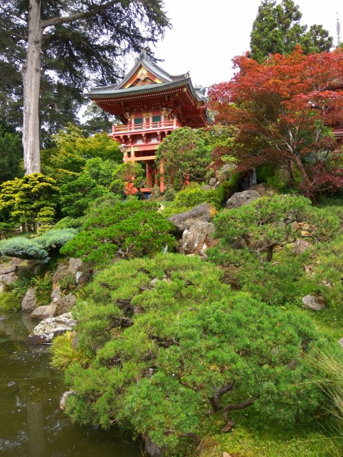 Jardin Japonés SF