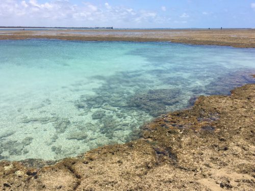 Porto Galinhas Pontal de Maracaipe