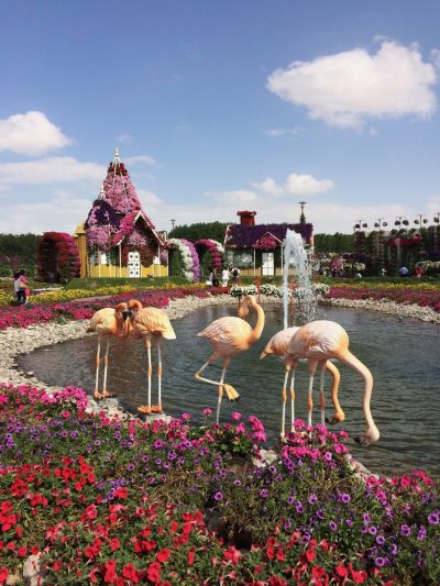 Miracle Garden Dubai